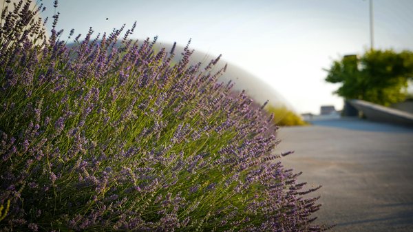Équilibrer fraîcheur et confort : la climatisation réversible dans le val-d'oise 95